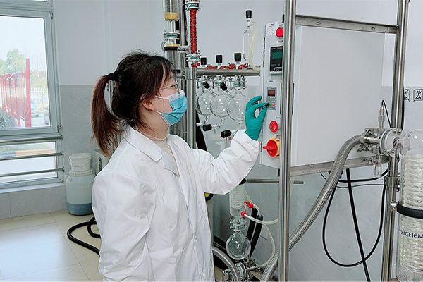 圖片2400600 圖片2400600