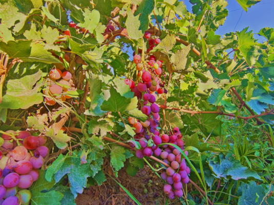 20240810175801428003 20240810175801428003