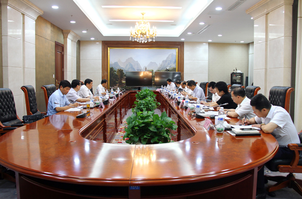 海螺集團公司黨委召開對照黨章黨規找差距專...